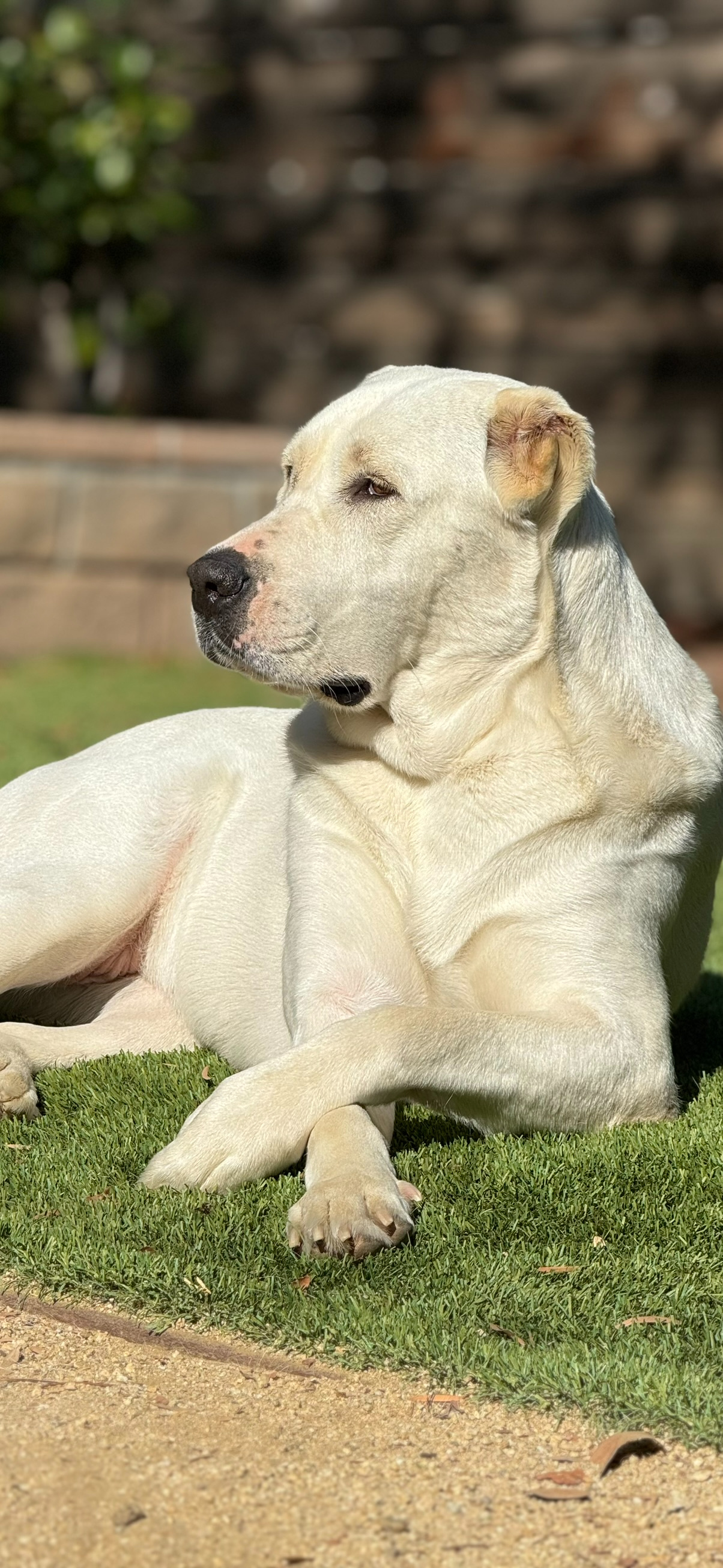Sunshine Time