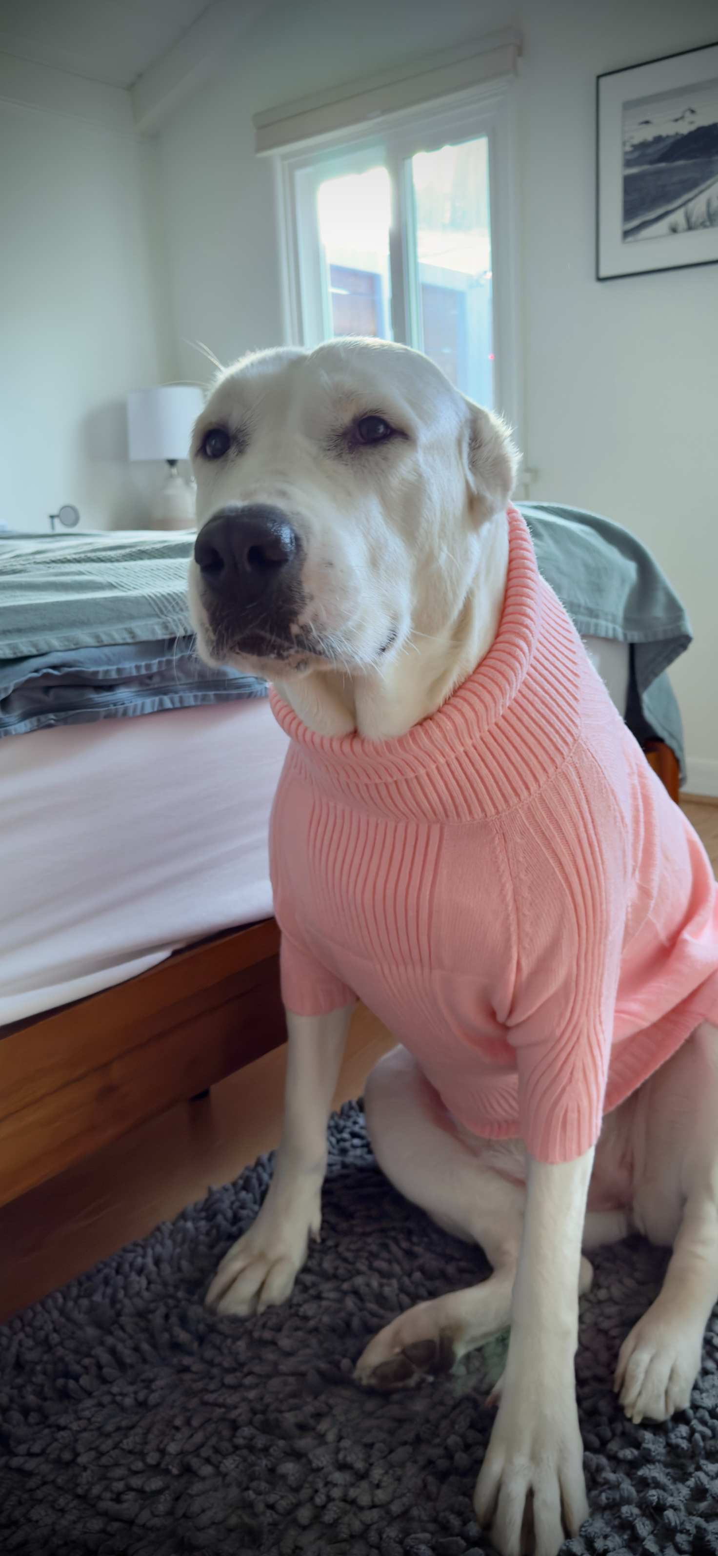 Pretty in Pink