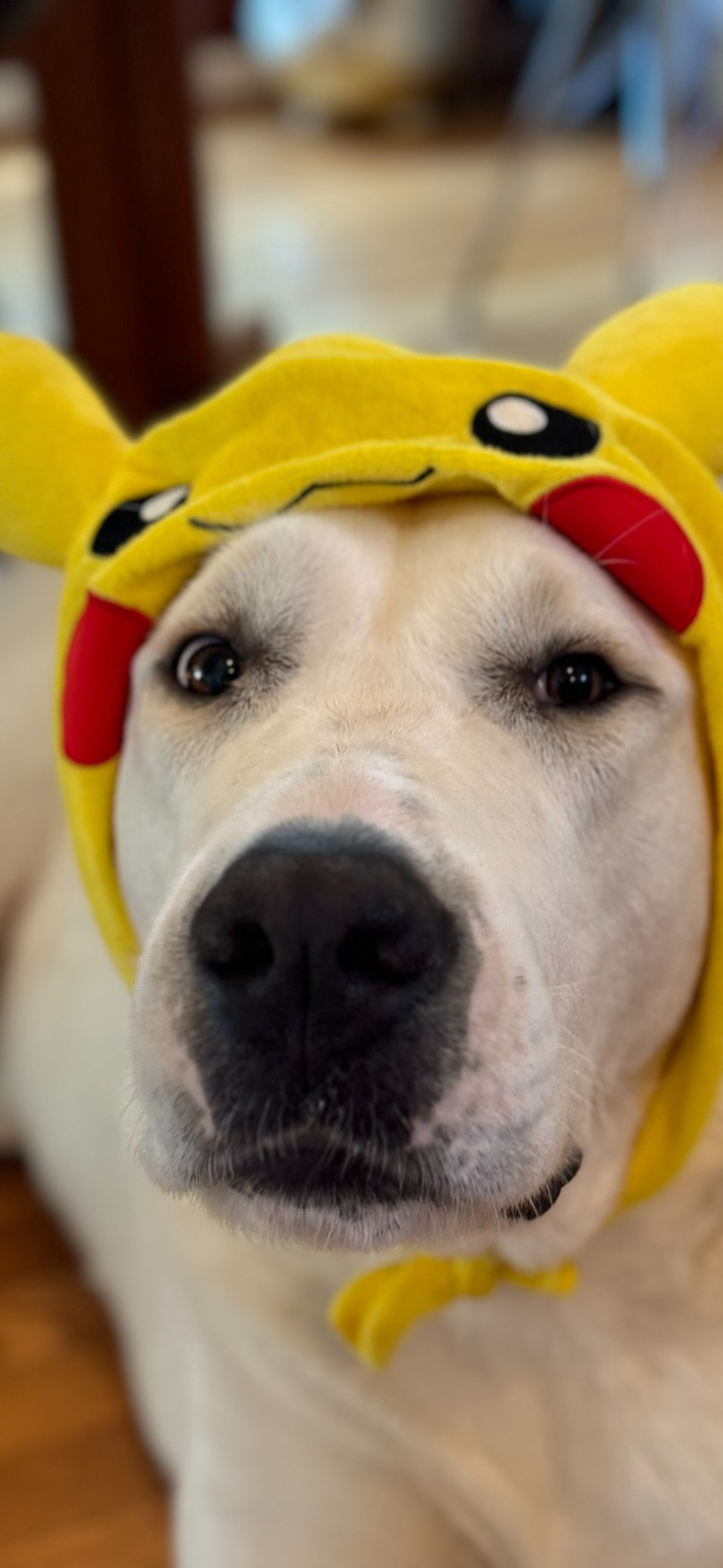 PikaMarge