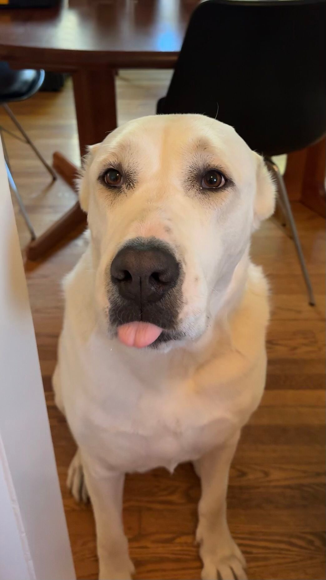 Respectfully, Pbbbt